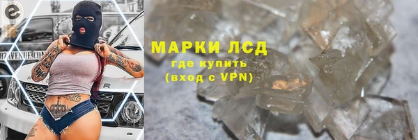 PSILOCYBIN Инсар