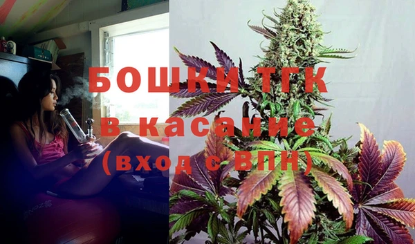 PSILOCYBIN Инсар