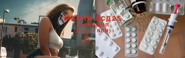 PSILOCYBIN Инсар
