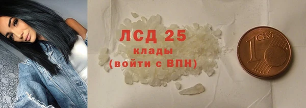 PSILOCYBIN Инсар