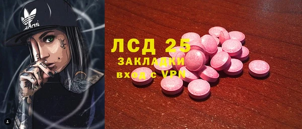 PSILOCYBIN Инсар