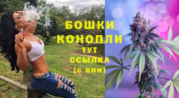 PSILOCYBIN Инсар