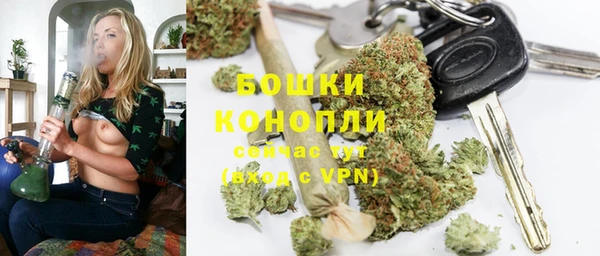 PSILOCYBIN Инсар