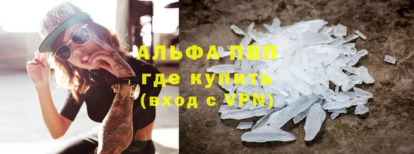 PSILOCYBIN Инсар
