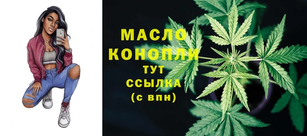 скорость Каменногорск