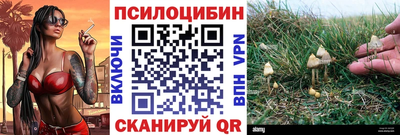 Купить закладки Нариманов Псилоцибиновые грибы MAGIC MUSHROOMS